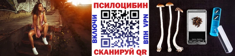 Галлюциногенные грибы MAGIC MUSHROOMS  Ачхой-Мартан 
